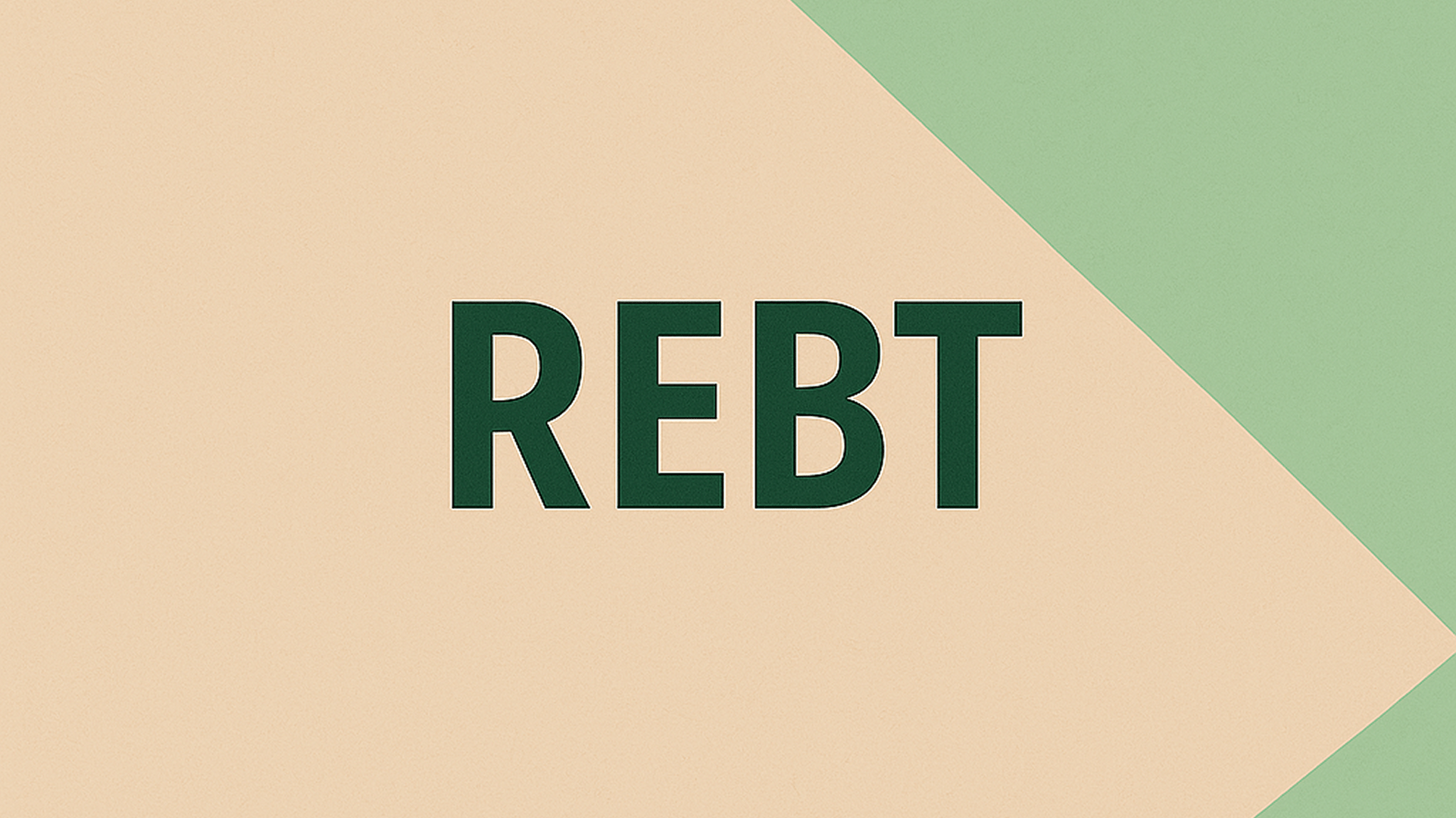 REBT, audio i video zapisi